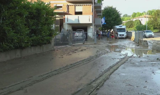 Allerta meteo a Giulianova: chiusi i parchi per rischio caduta alberi